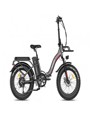 FAFREES F20 Max Electric Bike - 500W Power 1080WH Battery 110KM Range | Gray de France