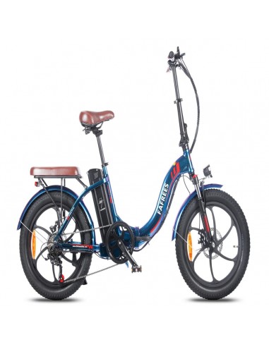 FAFREES F20 Pro Electric Bike | 250W Motor 648WH Battery 80KM Range | Grey d'Europe débarque