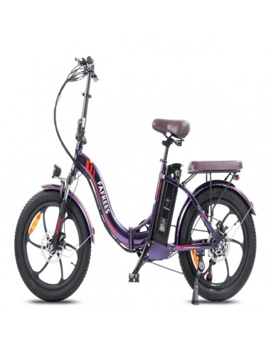 FAFREES F20 Pro Electric Bike | 250W Motor 648WH Battery 80KM Range | Dazzling Purple Véritable concentré