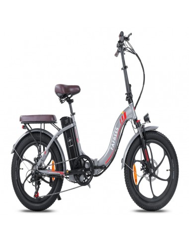 FAFREES F20 Pro Electric Bike | 250W Motor 648WH Battery 80KM Range | Grey l'évolution des habitudes 