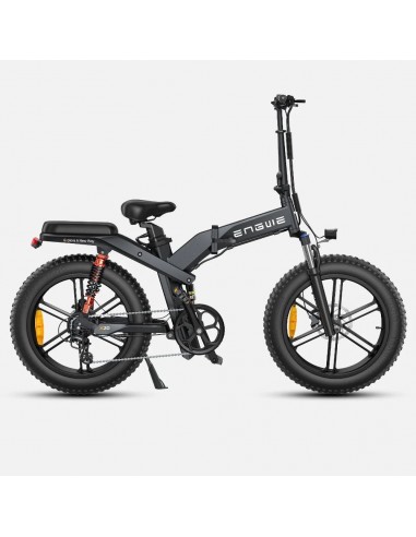 ENGWE X20 Electric Bike - 750W Motor 691.2WH Battery 64KM Range - Black Venez découvrir notre 