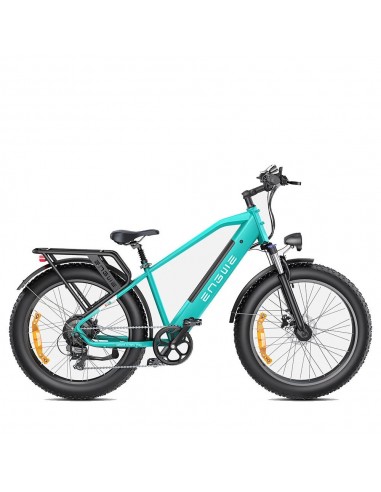 ENGWE E26 Electric Bicycle - 250W Motor 768WH Battery 140KM Range Disc Brakes - Blue Vous souhaitez 