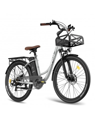 FAFREES F26 Lasting Electric Bike - 250W Motor 36V20.3Ah Battery 160KM PAS Mode Range Mechanical Brakes - Grey de technologie