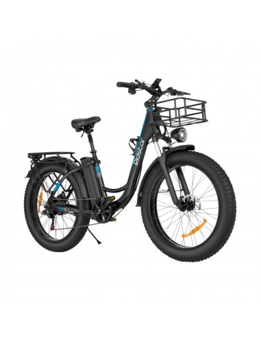 Ridstar MN26 Electric Bike - 750W Motor 48V20Ah Battery 26" Tires Mechanical Disc Brakes - Black Profitez des Offres !