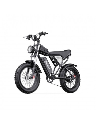 Ridstar Q20 Electric Bike - 750W Motor 48V20Ah Battery 20" Tires Hydraulic Disc Brakes - Black le des métaux précieux