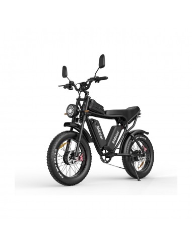 Ridstar Q20 Electric Bike - 750W*2 Dual Motors 48V20Ah*2 Dual Battery 20" Tires Hydraulic Disc Brakes - Black Livraison rapide