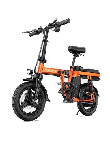 ENGWE T14 EU Electric Bike: 250W Power, 480Wh Battery | 45KM Range pas cheres