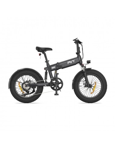 PVY Turbo Electric Bike - 250W Motor 48V13AH Battery 20" Tires Mechanical Disc Brakes - Grey d'Europe débarque