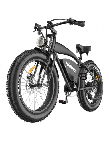 Hidoes HD-B3 Electric Bike - 1200W Motor 48V18.2AH Battery 26" Tires Oil Disc Brakes - Black Livraison rapide