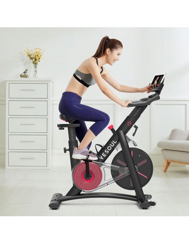 Exercise Bike YESOUL S3 Black pas cher 